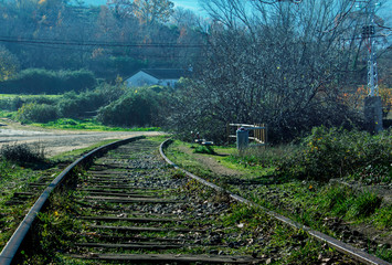 Landscape green train tracks