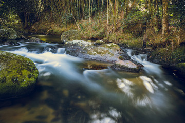 Corredeiras em S&atilde;o Francisco Xavier