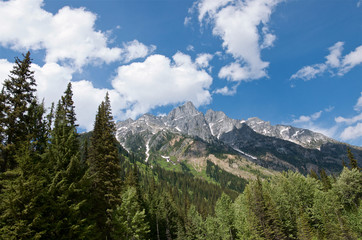Fototapeta premium Scenic view of snowy peaks and evergreen forest, Rogers Pass National Historic Site of Canada, Canadian Rocky mountain, Glacier National Park, British Columbia, Canada