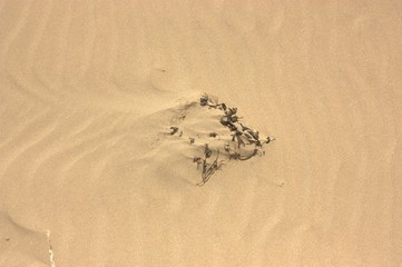 sand