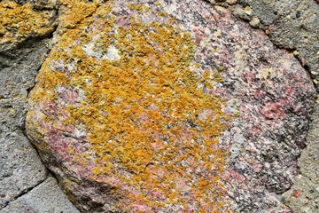 Natural stone background with textured surface and green moss. Pattern mineral with rough structure and yellow lichen. Aging colorful mountain backdrop. Natural stone surface with empty space for text