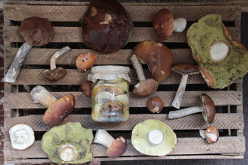 Marinated canned mushrooms in glass pot on wooden background with fresh white mushrooms, boletus