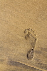 Single human barefoot footprint of right foot in brown yellow sand beach background, summer...