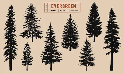 Foto op Canvas Evergreen tree silhouette vector illustration hand drawn © Max_Lockwood