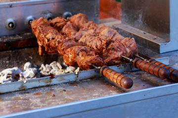 Meat kebab on skewers