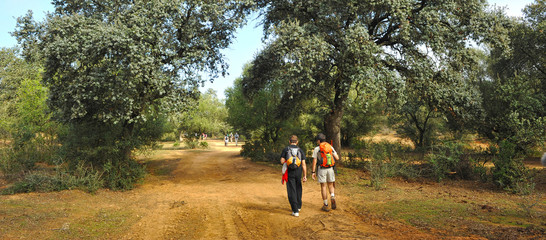 Two pilgrims between Guillena and Castilblanco in Way to Santiago (Via de la Plata) at province of...