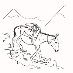 Mule walking on mountains with load on his back, This type of cargo transport widely used in himalayas, Vector sketch, Hand drawn linear illustration