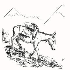 Mule walking on mountains with load on his back, This type of cargo transport widely used in himalayas, Vector sketch, Hand drawn illustration