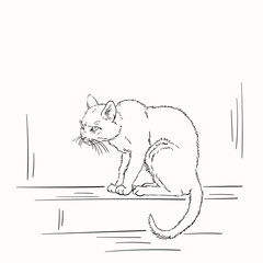 Sketch of scary sitting scruffy cat looking mad, Hand drawn vector linear illustration