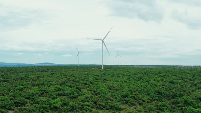 Aerial view of wind power, windmill, energy production, eco-energy in a beautiful green nature. Green technology.
