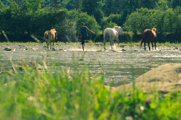 man with horses in the river