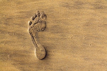 Single human barefoot footprint of left foot in brown yellow sand beach background, summer vacation...