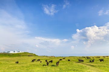 Obraz premium beauty of Taiwan