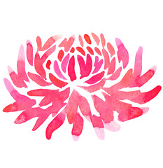 abstract flower pink chrysanthemum dahlia