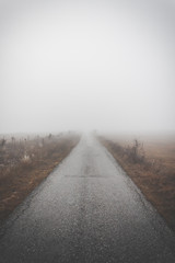 Road through the fog
