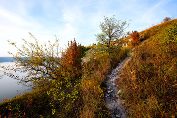 Obraz premium autumn landscape with road and trees