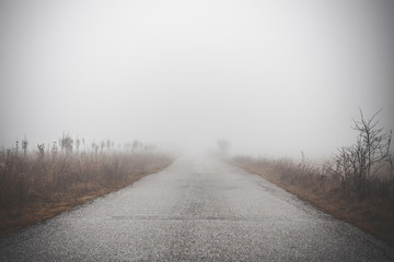 Road through the fog