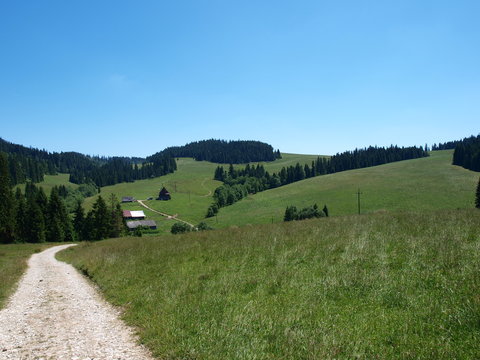 Pieniny - Carpathians Mountains 