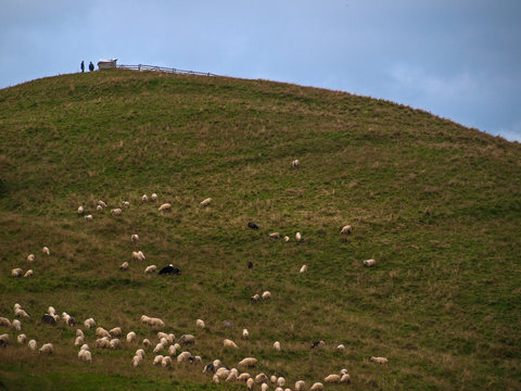 Pieniny - Carpathians Mountains 