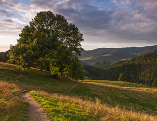 Fototapeta na wymiar Pieniny - Carpathians Mountains 