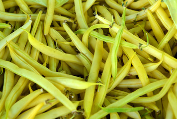 Harvested beans for sale at farmers market. Background.