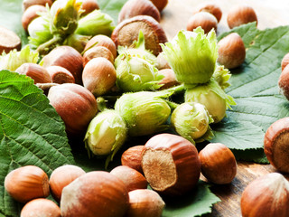 Hazelnuts on wood