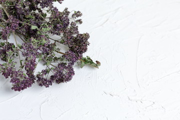 A bunch of dried grass. Thyme garden. Against the background of white wall with decorative plaster.