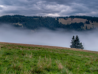 Pieniny - Carpathians Mountains 