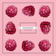Raspberry frame