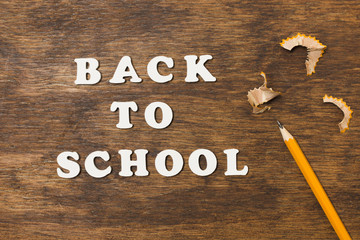 Flat lay back to school with pencil