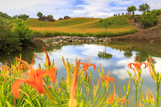 beauty of Taiwan
