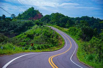 road on top of the mountain with beautiful wild flower along side, Nan province, Thailand.