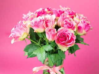 Bouquet of pink roses in a glass vase on a pink background. On a vase the red tape is tied. On water drop roses