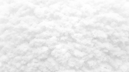 Snow texture background photo