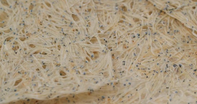 Japanese dry fish snack for beer, tatami iwashi