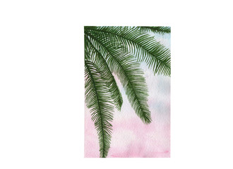 watercolor palm leaves