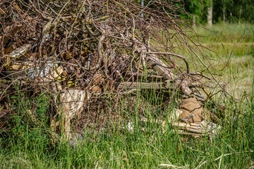 pile of old dry wooden logs and branches in green forest