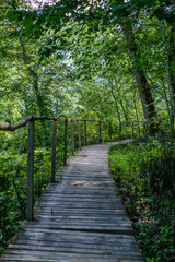 Fototapeta na wymiar old wooden plank footbridge with stairs in forest
