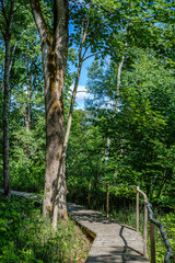old wooden plank footbridge with stairs in forest