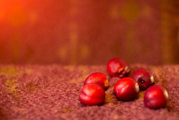 red fruits and berries for advertising