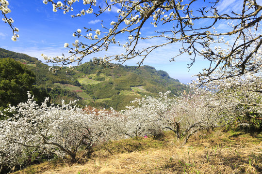 beauty of Taiwan