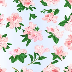 Foto op Plexiglas Naadloze textuur licht roze bloemen rododendrons en bladeren berg struik op een blauwe achtergrond vintage vectorillustratie bewerkbare hand tekenen © zdenat5
