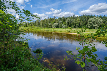 Fototapeta na wymiar river Gauja in Latvia, view through the trees in summer