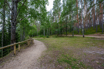 wooden fance in countryside nature trail