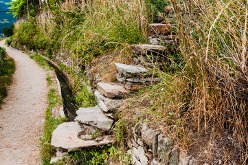 Algund, Waalweg, Steintreppe, Wasserversorgung, Weinberg, Vinschgau, Südtirol, Sommer, Italien