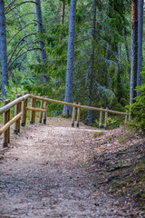 Obraz premium wooden fance in countryside nature trail