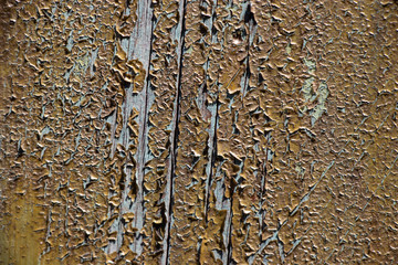 Green grunge paint chip wood texture background