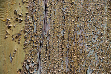 Green grunge paint chip wood texture background