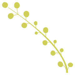 Isolated trendy clip art leaf on the white background. 