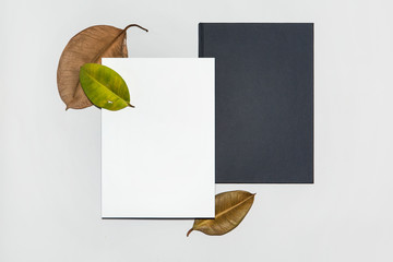 identity set with green and brown leaves